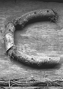 Wall_Art_Alphabet_Photography_Art_ 353